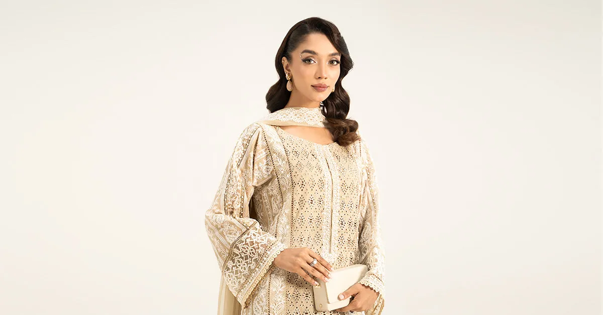 3 PIECE EMBROIDERED LAWN SUIT | DW-EF24-01