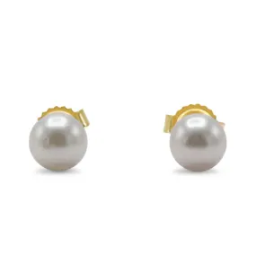 5mm White Akoya Cultured Pearl Earstuds - 18ct Yellow Gold