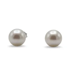 6.5-7mm White Akoya Cultured Pearl Earstuds - 18ct White Gold