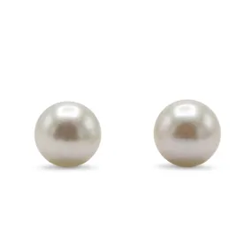 6.5-7mm White Akoya Cultured Pearl Earstuds - 18ct Yellow Gold