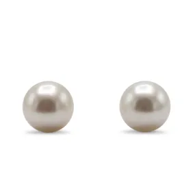 8-8.5mm White Akoya Cultured Pearl Earstuds - 18ct Yellow Gold