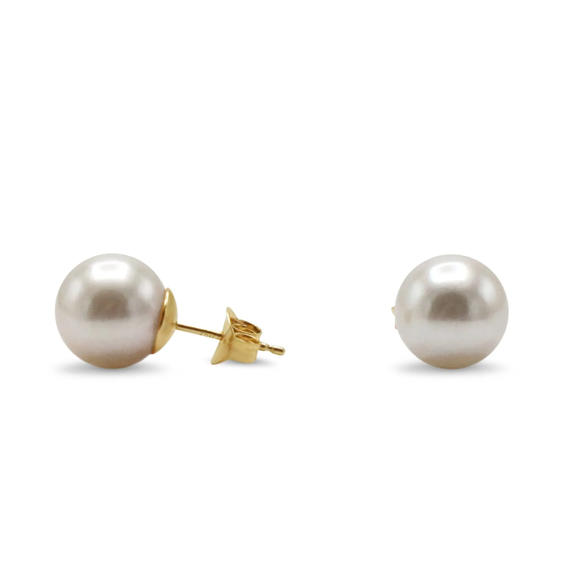 8-8.5mm White Akoya Cultured Pearl Earstuds - 18ct Yellow Gold