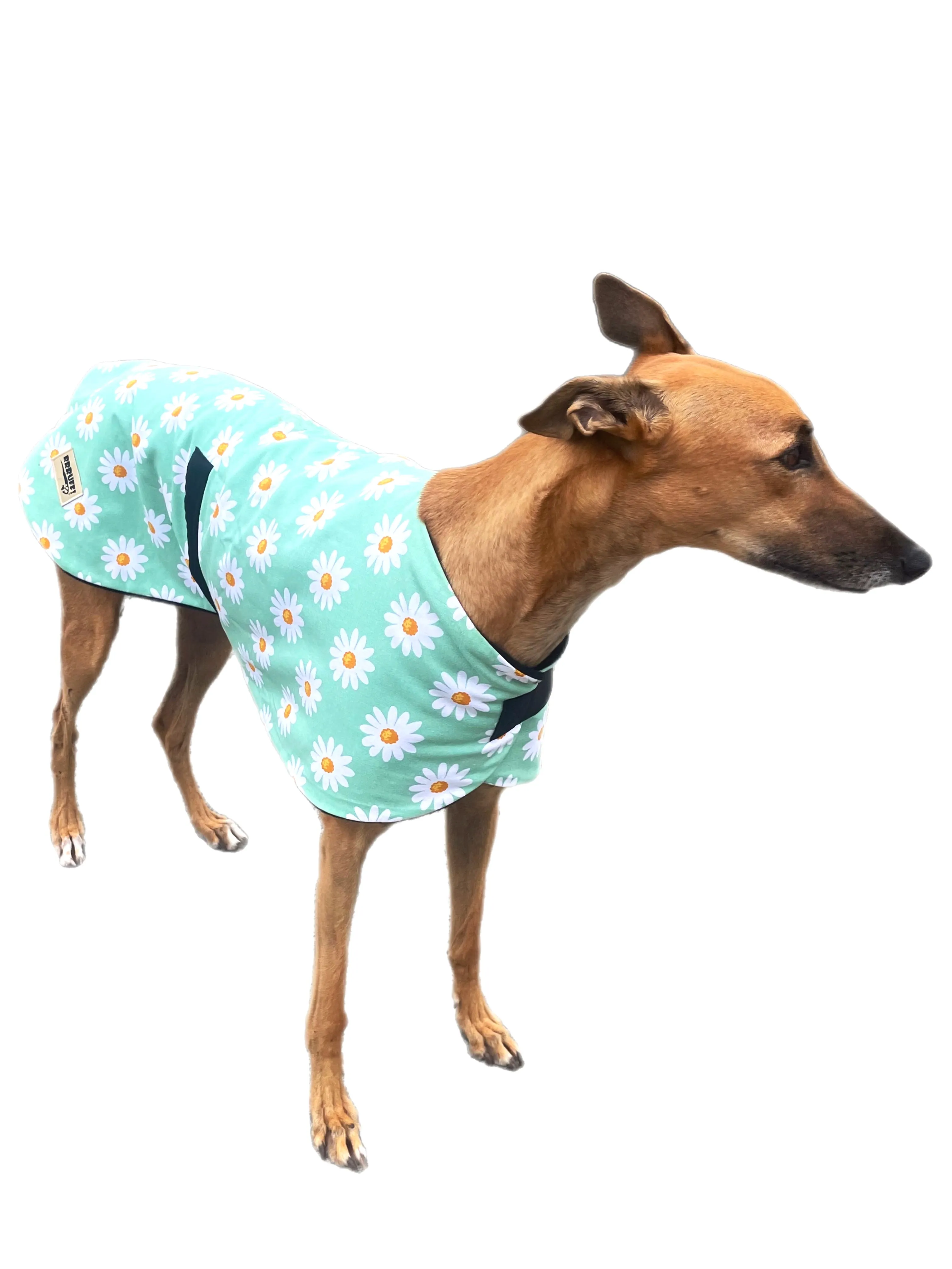 Fresh Autumn Greyhound  ‘sage daisy’ coat in cotton & thick fleece washable