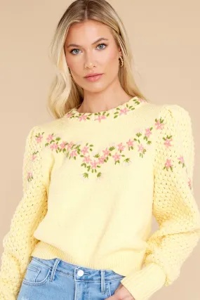 Kenzly Mellow Yellow Pullover Sweater