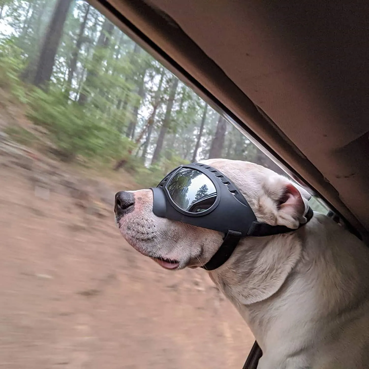 QUMY Dog Goggles Large Breed